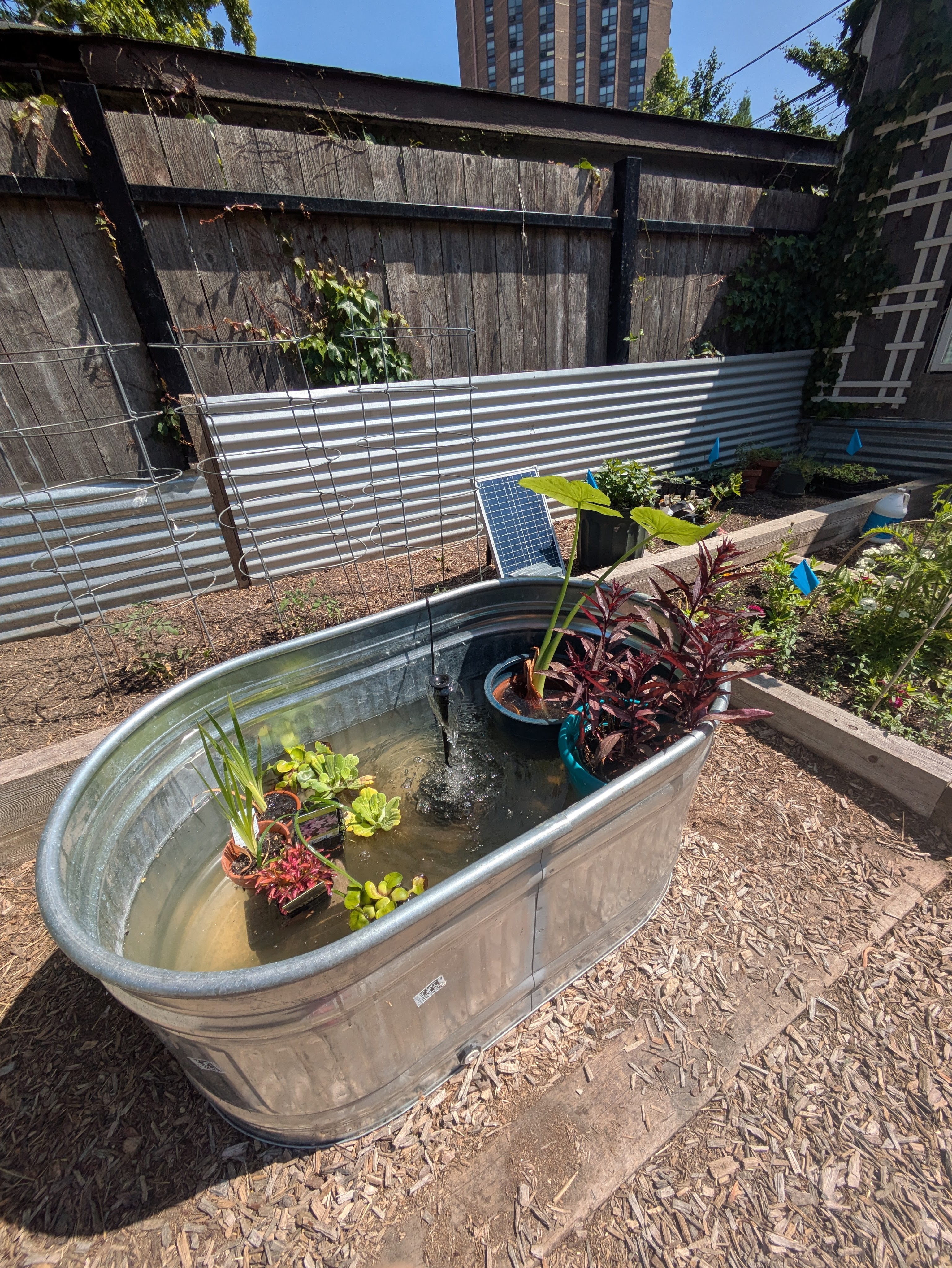 stock tub pond with plants and solar water pump